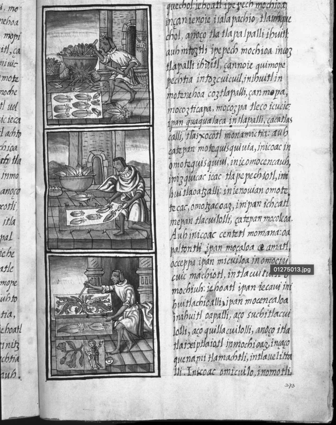 Amanteca in the Florentine Codex